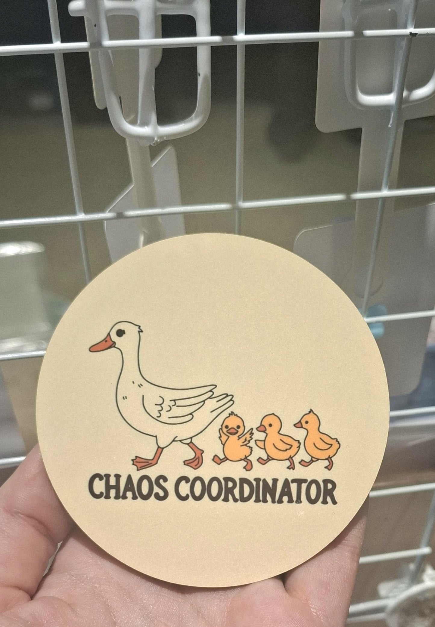 Chaos Coordinator Duck Coaster