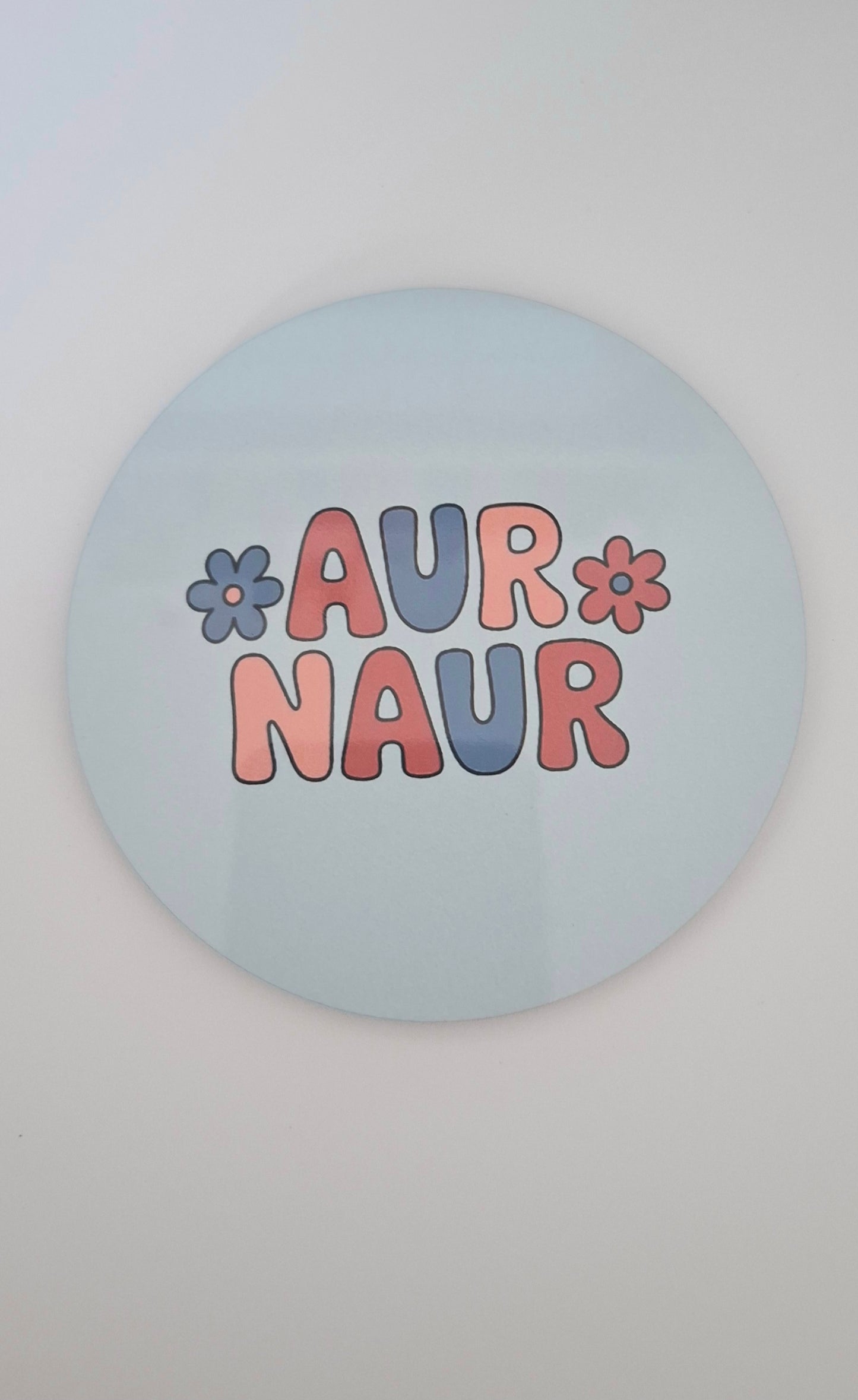 Aur Naur Coaster
